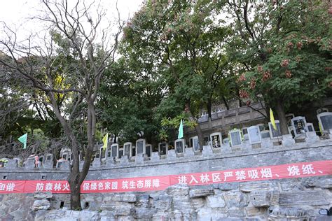 金山陵園|北京市金山陵園